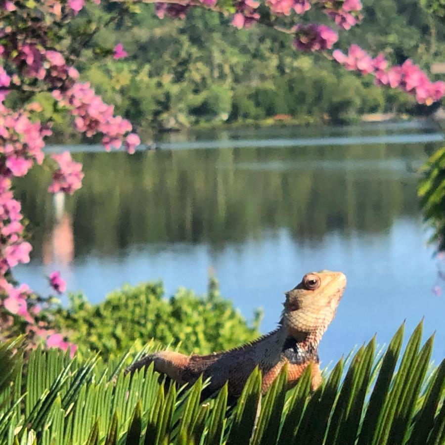 Kalla Bongo Lake Resort Hikkaduwa Exteriér fotografie